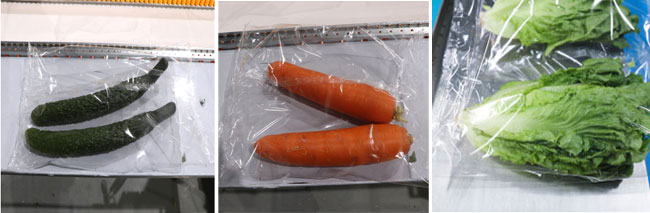 生鮮保鮮膜包裝機樣品